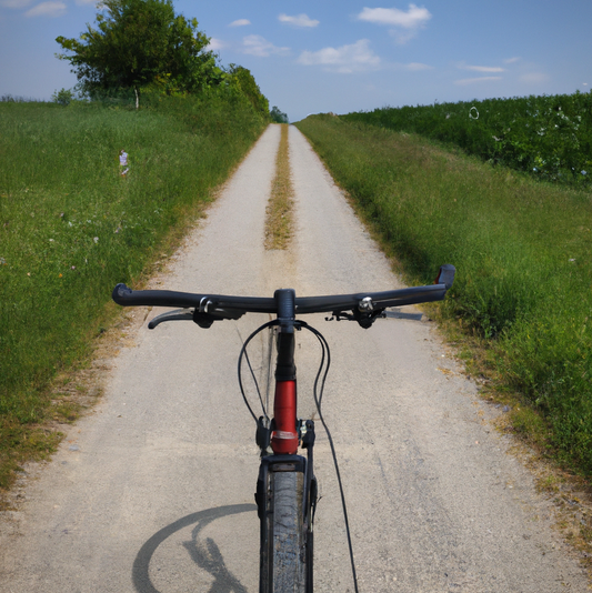 Fahrrad auf einer Straße in der Natur